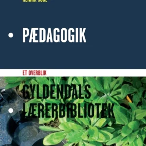 Pædagogik