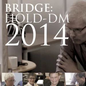 Bridge: Hold-DM 2014