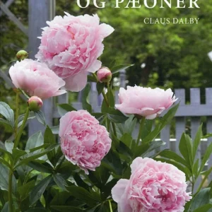 Bonderoser og pæoner