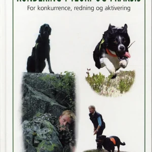 Rundering i teori og praksis