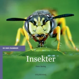 Insekter