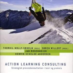 Action Learning Consulting
