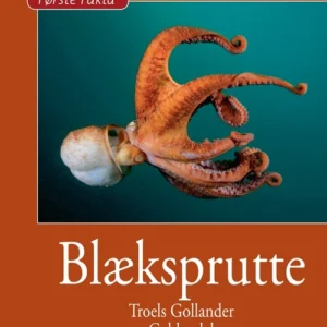 Blæksprutte