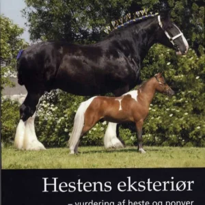 Hestens eksteriør