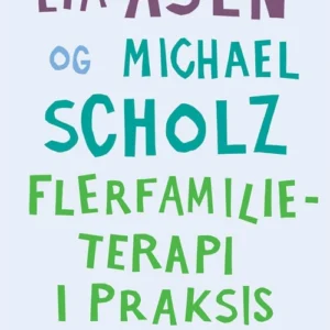 Flerfamilieterapi i praksis