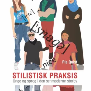 Stilistisk praksis