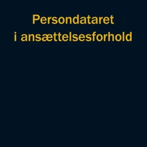 Persondataret i ansættelsesforhold