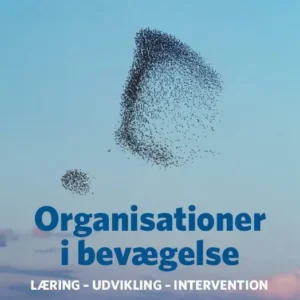 Organisationer i bevægelse