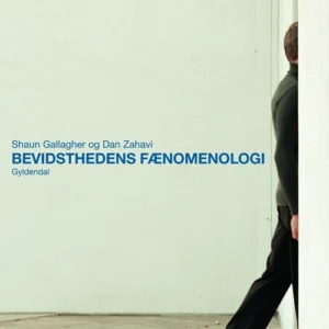 Bevidsthedens fænomenologi