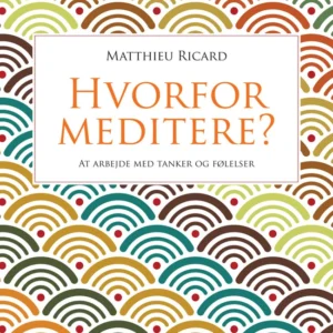 Hvorfor meditere?