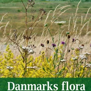 Danmarks flora