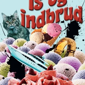 Is og indbrud