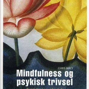 Mindfulness og psykisk trivsel