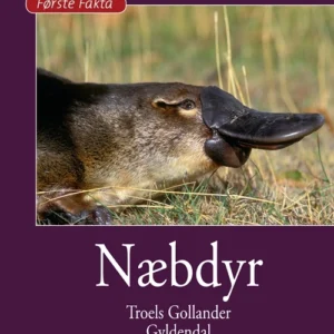 Næbdyr