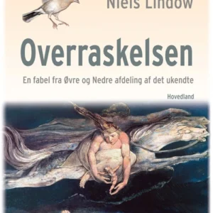 Overraskelsen