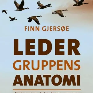 Ledergruppens anatomi