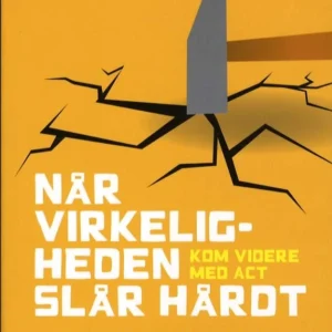 Når virkeligheden slår hårdt
