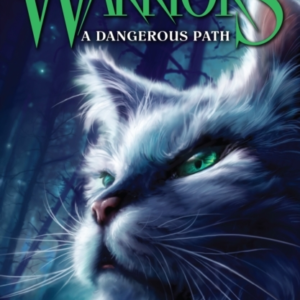 A Dangerous Path