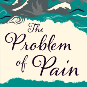 The Problem Of Pain