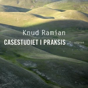 Casestudiet  i praksis
