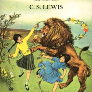 The Lion, The Witch And The Wardrobe Hardback