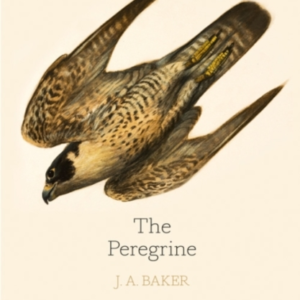 The Peregrine: 50Th Anniversary Edition Afterword By Robert Macfarlane