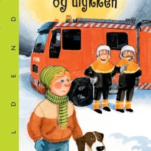 Magnus og ulykken