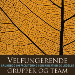 Velfungerende grupper og team