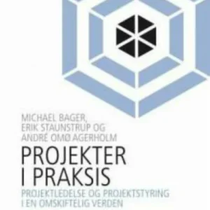 Projekter i praksis