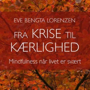 Fra krise til kærlighed