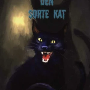 Den sorte kat