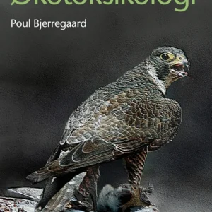 Økotoksikologi