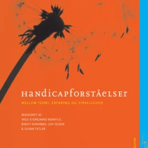 Handicapforståelser