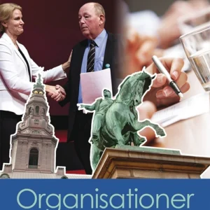Organisationer i politik
