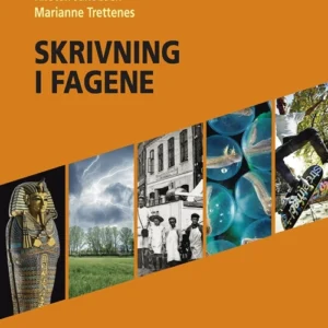 Skrivning i fagene
