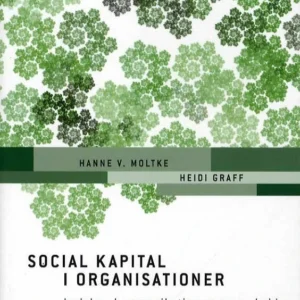 Social kapital i organisationer