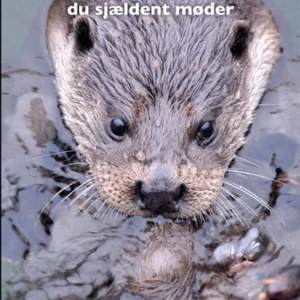DYR I DANSK NATUR