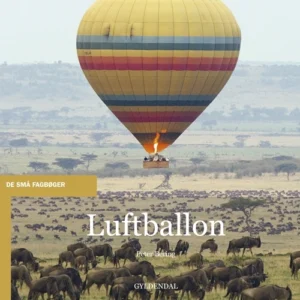 Luftballon