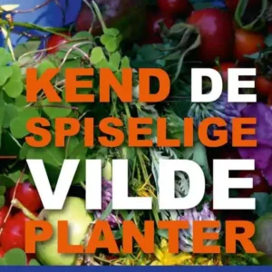 Kend de spiselige vilde planter