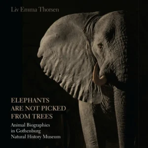 Elephants are not picked from trees