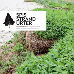 Spis strandurter