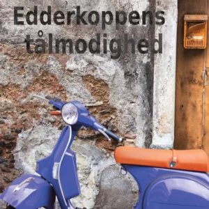 Edderkoppens tålmodighed