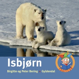 Isbjørn