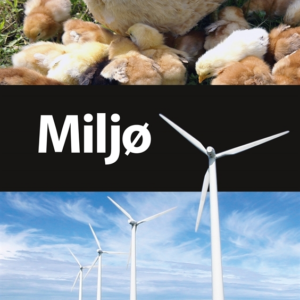 Miljø