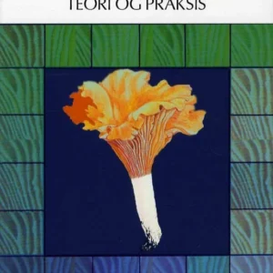 Vejledning - teori og praksis