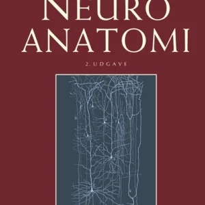 Neuroanatomi