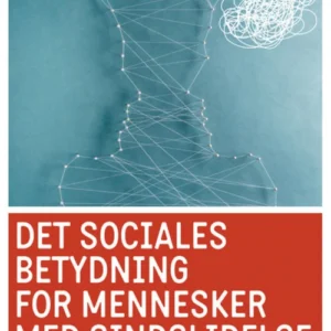 Det sociales betydning for mennesker med sindslidelse