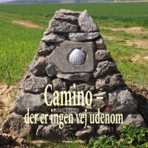 Camino. Der er ingen vej udenom