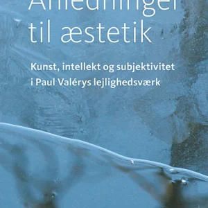 Anledninger til æstetik