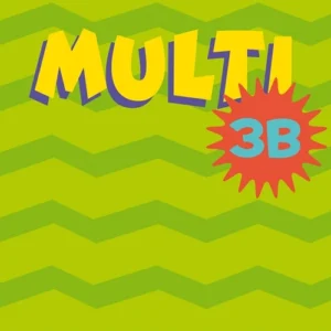 MULTI 3B